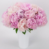 Peonies