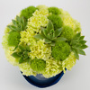 Blue flower box with echeveria - Image 2