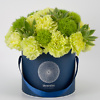 Blue flower box with echeveria