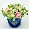 Blue flower box Thlaspi
