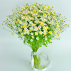Light summer bouquet Flower delivery service in Vilnius Beatričės Gėlių Namai