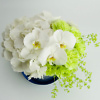 Blue flower box with orchids - Image 2