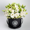 White eustoma in black flower box