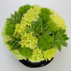 Black flower box with echeveria - Image 2