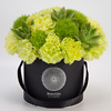 Black flower box with echeveria