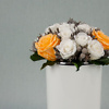 White and Peach