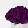 Stabilizuotų miegančių rožių ir augalų kompozicija Pristatymas visoje Lietuvoje
