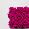 Preserved roses Black Pink