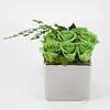 Arrangement with preserved roses Green Tea - Image 4