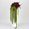 Preserved floral arrangement Amaranth - Image 2