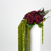 Preserved floral arrangement Amaranth