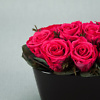 Preserved rose arrangement Pink