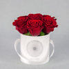 Preserved roses in a white box