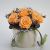 Preserved rose arrangement Apricot M