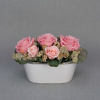 Preserved rose arrangement Vintage Pink