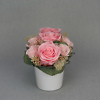 Preserved rose arrangement Vintage Pink - Image 2
