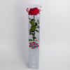 Preserved red roses - Image 2
