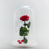 Red preserved rose in a glass dome