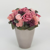 Preserved rose arrangement Bisquit - Image 2
