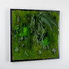 Preserved plants and moss picture
