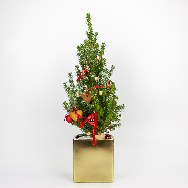 Decorated Christmas tree