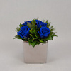 Preserved floral arrangement Blue