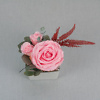 Preserved floral arrangement with fern