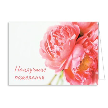 Открытка "Наилучшие пожелания"