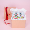 Kinder Surprise rinkinys