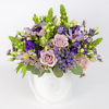 White flower box Viola