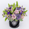 Black flower box Viola