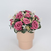 Preserved floral arrangement Cherry Blossom